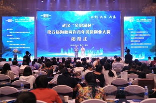 武漢市創(chuàng)新創(chuàng)業(yè)大賽