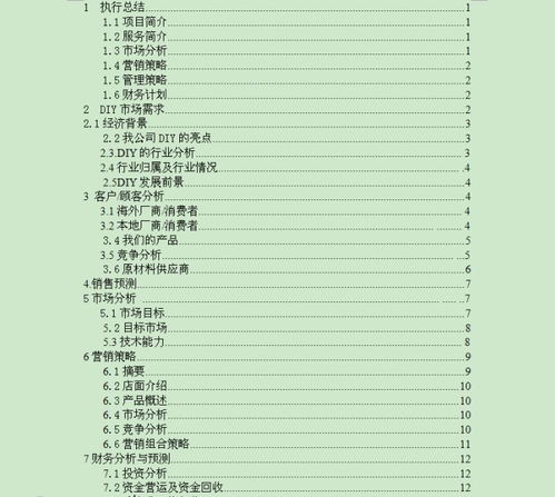 diy的創(chuàng)新創(chuàng)業(yè)計劃書