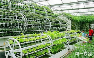 瓶頸,創(chuàng)新,創(chuàng)業(yè),農(nóng)業(yè)