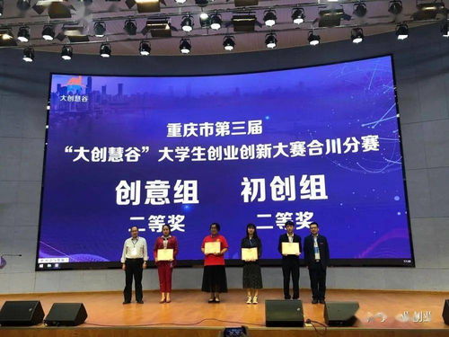 合川區(qū)大學(xué)生創(chuàng)業(yè)創(chuàng)新大賽