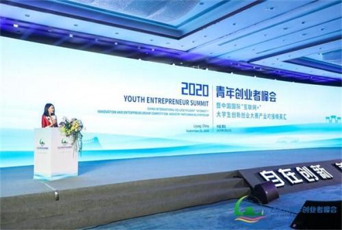 2020大學(xué)生創(chuàng)新創(chuàng)業(yè)計(jì)劃書(shū)