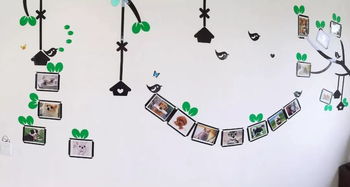 關(guān)于寵物創(chuàng)業(yè)的創(chuàng)新點(diǎn)