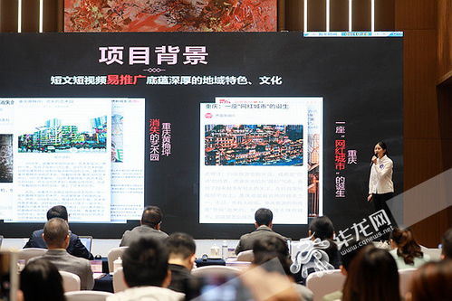 DIY大學生創(chuàng)新創(chuàng)業(yè)項目