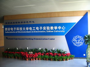 科學(xué)技術(shù)與創(chuàng)新創(chuàng)業(yè)學(xué)生評價(jià)大學(xué)生,科學(xué)技術(shù)與創(chuàng)新創(chuàng)業(yè)自我評價(jià),科學(xué)技術(shù)與創(chuàng)新創(chuàng)業(yè)評語