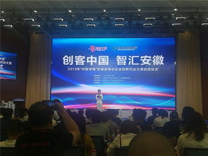 2019創(chuàng)客中國(guó)安徽省創(chuàng)新創(chuàng)業(yè)復(fù)賽
