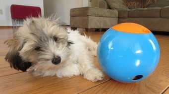 創(chuàng)新創(chuàng)業(yè)智能垃圾箱,創(chuàng)新創(chuàng)業(yè)智能手環(huán),創(chuàng)新創(chuàng)業(yè)智能盲杖設計書