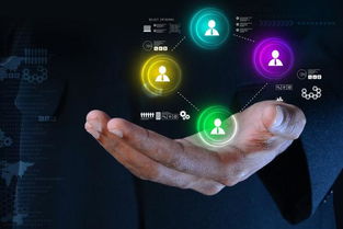 互聯(lián)網(wǎng)時(shí)代下的創(chuàng)新創(chuàng)業(yè)方向是什么,互聯(lián)網(wǎng)時(shí)代下創(chuàng)新創(chuàng)業(yè)的機(jī)遇與挑戰(zhàn),互聯(lián)網(wǎng)時(shí)代背景下的創(chuàng)新創(chuàng)業(yè)