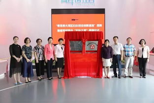 婦女,創(chuàng)新,支持,創(chuàng)業(yè)