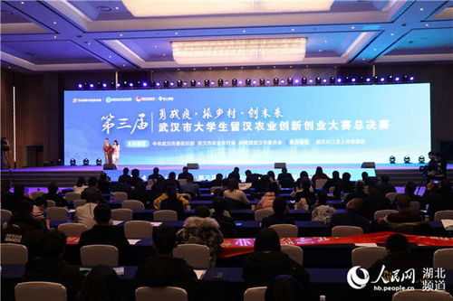 計(jì)劃書(shū),創(chuàng)新,創(chuàng)業(yè),大學(xué)生