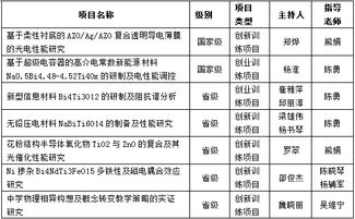 大學(xué)生創(chuàng)新創(chuàng)業(yè)立項(xiàng)申請(qǐng)表