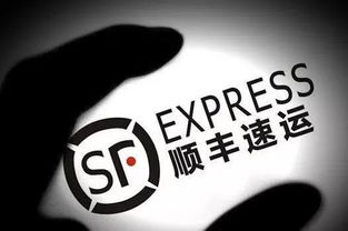 順豐創(chuàng)業(yè)創(chuàng)新獎(jiǎng)的評(píng)價(jià)