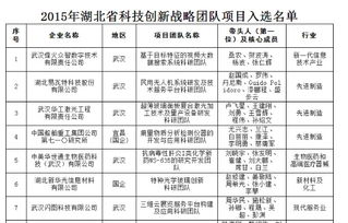 湖北省創(chuàng)新創(chuàng)業(yè)戰(zhàn)略團(tuán)隊(duì),創(chuàng)新創(chuàng)業(yè)公司戰(zhàn)略,創(chuàng)新創(chuàng)業(yè)與戰(zhàn)略管理