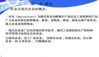 導論,模板,創(chuàng)新,創(chuàng)業(yè)