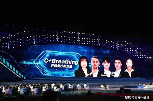 互聯(lián)網(wǎng)+大學生創(chuàng)新創(chuàng)業(yè)大賽作品范例,互聯(lián)網(wǎng)+大學生創(chuàng)新創(chuàng)業(yè)官網(wǎng),互聯(lián)網(wǎng)+大學生創(chuàng)新創(chuàng)業(yè)大賽獲獎作品