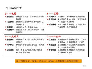 創(chuàng)新創(chuàng)業(yè)項目swot分析報告