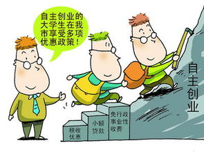 創(chuàng)新創(chuàng)業(yè)中的政策風(fēng)險(xiǎn),創(chuàng)新創(chuàng)業(yè)實(shí)踐報(bào)告,創(chuàng)新創(chuàng)業(yè)理論研究與實(shí)踐