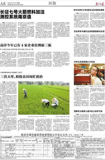 申請(qǐng)書,實(shí)踐,創(chuàng)新,創(chuàng)業(yè)