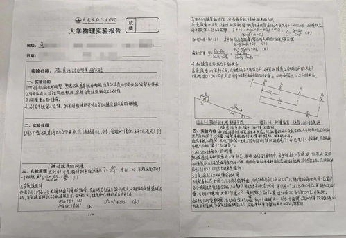 實驗,創(chuàng)新,創(chuàng)業(yè),報告