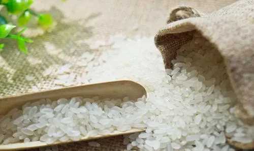 小米生白色蠕蟲(chóng)還能吃,小米生黑色蟲(chóng)了還能吃么圖2