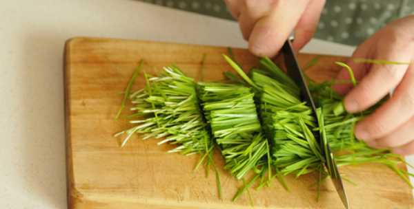 做清明團(tuán)子用什么草,做清明團(tuán)的植物叫什么圖3