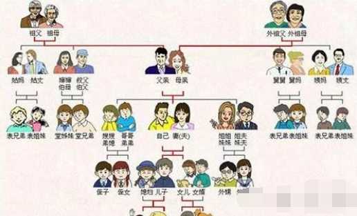 直系親屬包括哪些兄弟,直系親屬包括哪些兄弟姐妹是不是直系親屬圖2