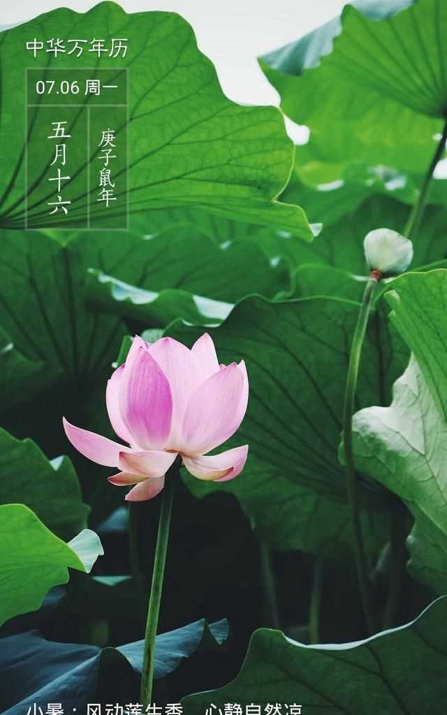 隋朝多少年，三國兩晉南北朝持續(xù)了多少年？圖3