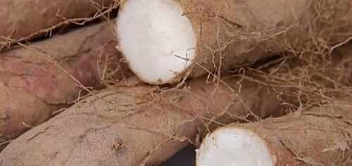 如何挑選好品質(zhì)的山藥，如何挑選山藥的好壞？圖12