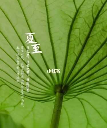 夏至是初夏的開始還是結(jié)束