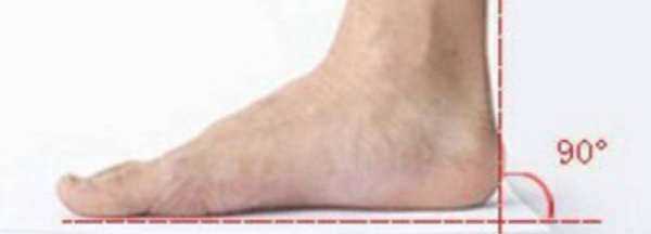 怎么確定自己腳的碼數,怎么知道自己是什么星座圖8