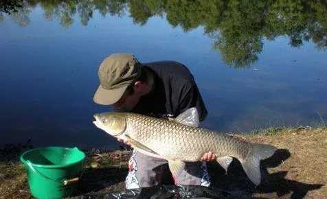 水庫釣草魚釣底還是釣浮,釣草魚是釣底還是釣浮比較好圖5