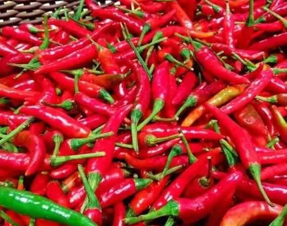 辣椒怎么曬干不變色，怎么曬干辣椒不變色？圖3
