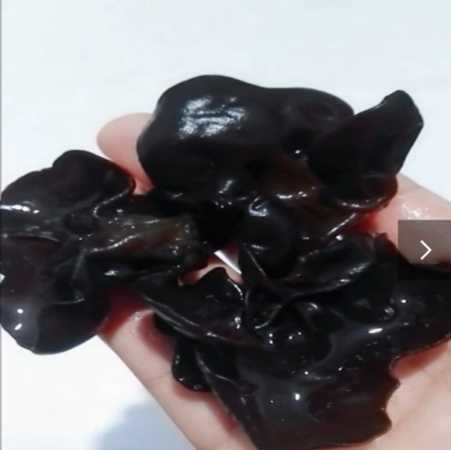 泡木耳能用開水泡嗎