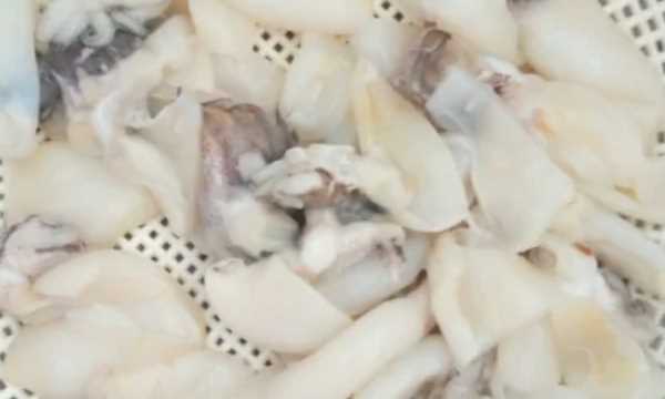 墨魚怎么炒,墨魚怎么做好吃又簡(jiǎn)單視頻圖1