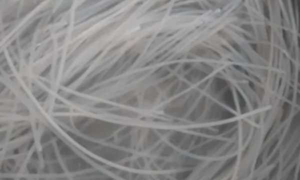 墨魚怎么炒,墨魚怎么做好吃又簡(jiǎn)單視頻圖4