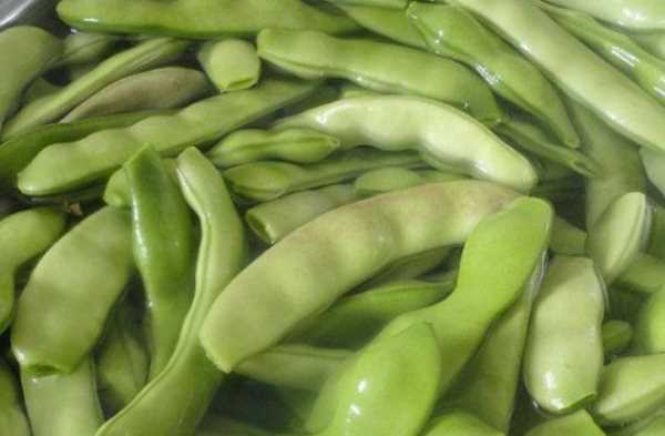 豆角怎樣凍才能保持綠色好吃,油豆角怎么凍速凍才好吃圖8