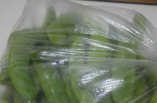 豆角怎樣凍才能保持綠色好吃,油豆角怎么凍速凍才好吃圖14