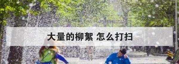 如何清理紗窗上的柳絮,紗窗的柳絮怎么清理圖2