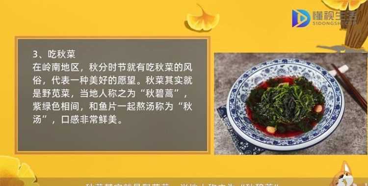 秋天來了手抄報(bào)帶字