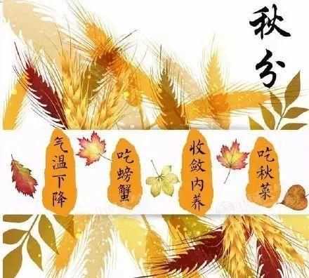 北方人秋分吃什么傳統(tǒng)食物 北方秋分吃的幾種傳統(tǒng)食物