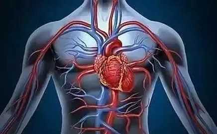 o型血為什么是萬(wàn)能血,o型血為什么是萬(wàn)能血圖4