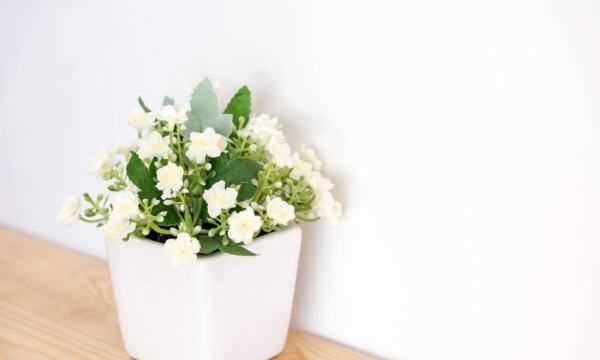 白糖水可以當(dāng)生根水,糖水能作為生根水泡玫瑰老樁用嗎圖2