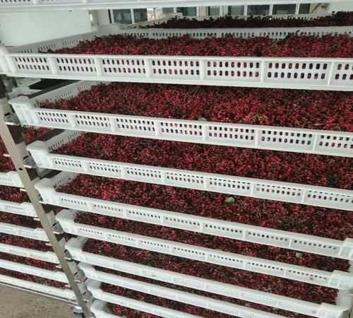 花椒烘干最佳的時間和溫度是多少度