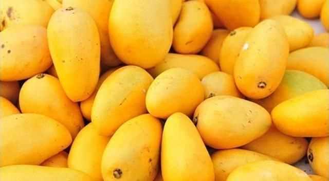 芒果能放冰箱嗎夏天芒果怎么保存