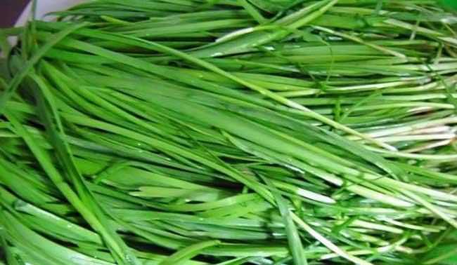 夏天吃韭菜好嗎