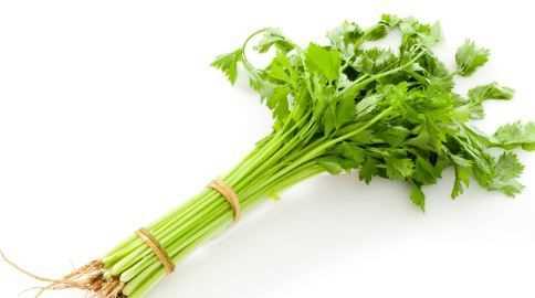 芹菜和水芹菜的區(qū)別在哪里