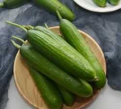 黃瓜怎么凍到冰箱保存,黃瓜是常見的蔬菜嗎圖1
