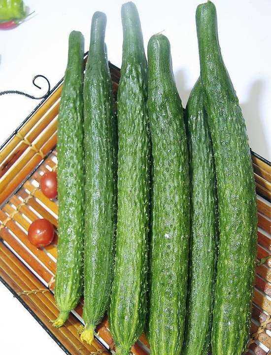 黃瓜怎么凍到冰箱保存,黃瓜是常見的蔬菜嗎圖2