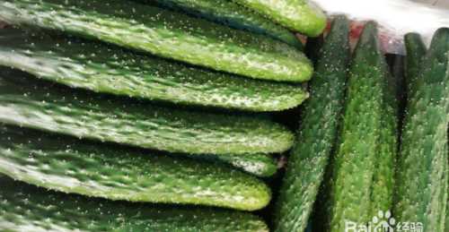 老黃瓜用什么方法冷凍好呢視頻