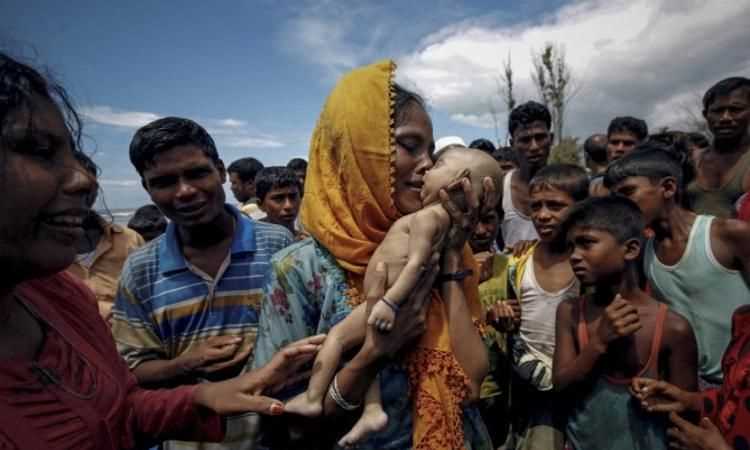 普利策獎是什么方面的大獎