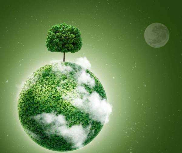 樹木的作用和好處視頻,樹的作用和用途有哪些圖片圖2